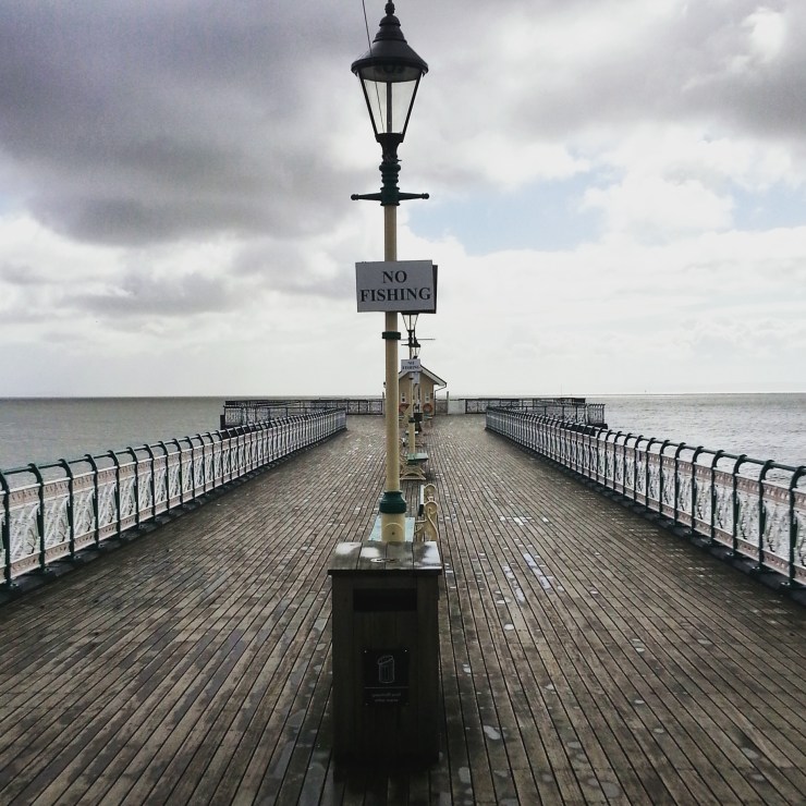 IMG_20150509_104435.jpg image